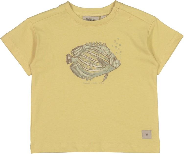 T-Shirt Baby mit herzigem Frontprint