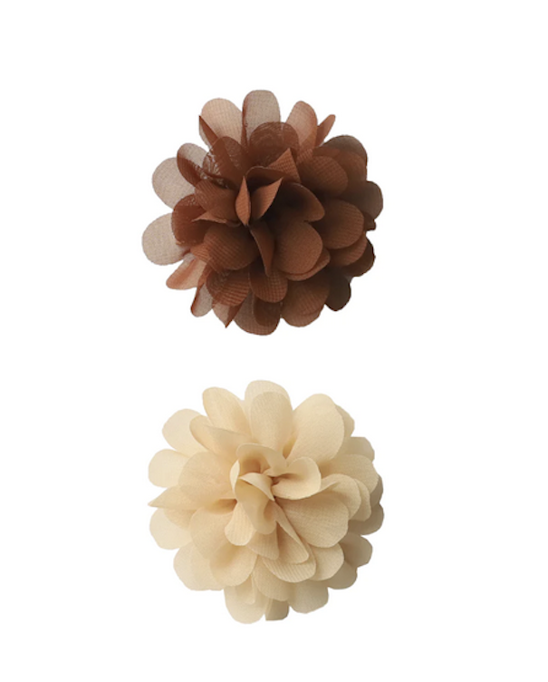 Pompomclips almond ginger