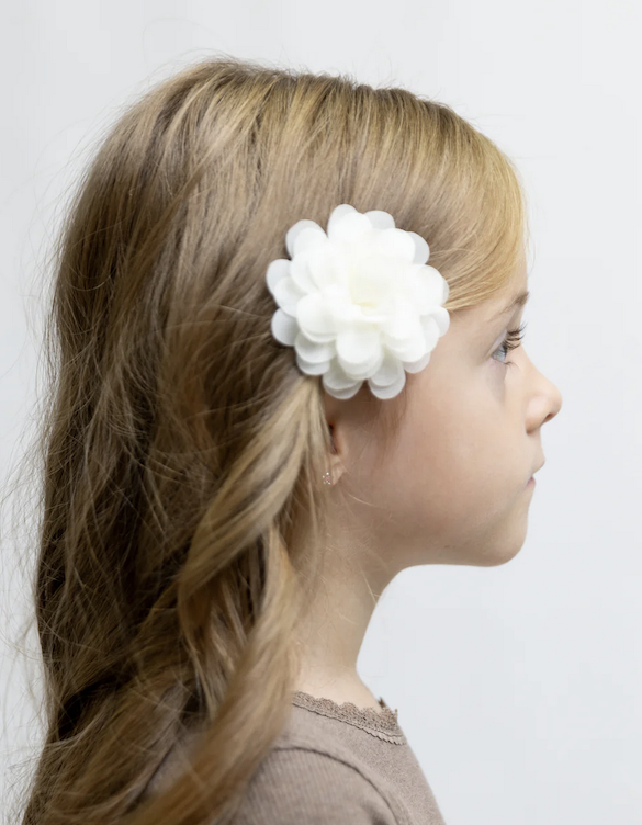 Pompomclips lemon wild rose - 0